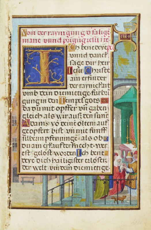 Border with Samuel Brought before Eli
