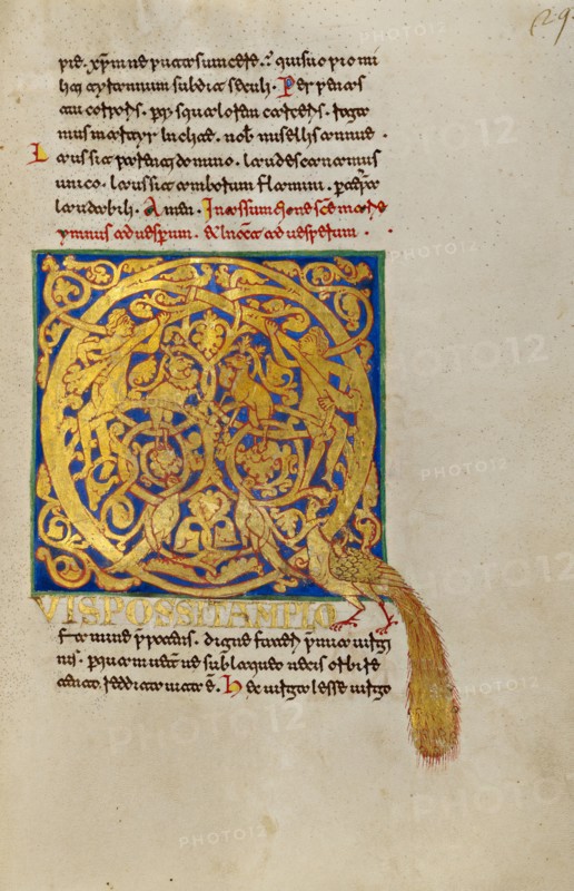 Inhabited Initial Q
