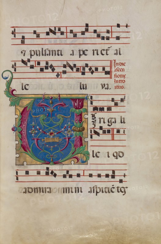 Decorated Initial V