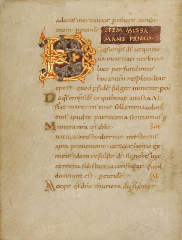 Decorated Initial D