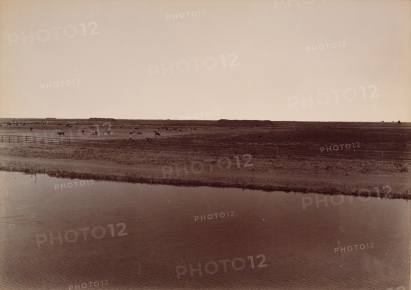 View on the Calloway Canal, Near Poso Creek, Kern County