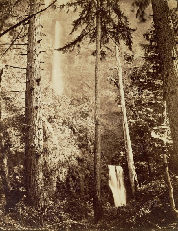 Multnomah Falls, Columbia River, Oregon / [Multnomah Falls, Side