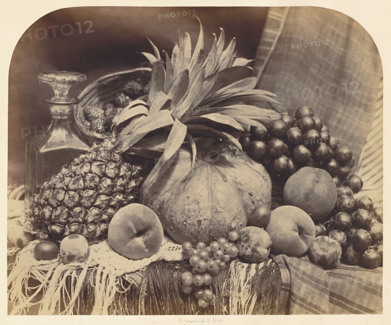 [Still Life with Fruit and Decanter]