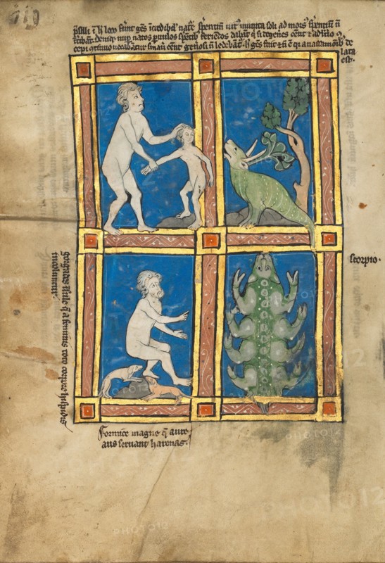 Praesillus,  A Hairy Woman of the Island of Gorgade,  A Scorpion