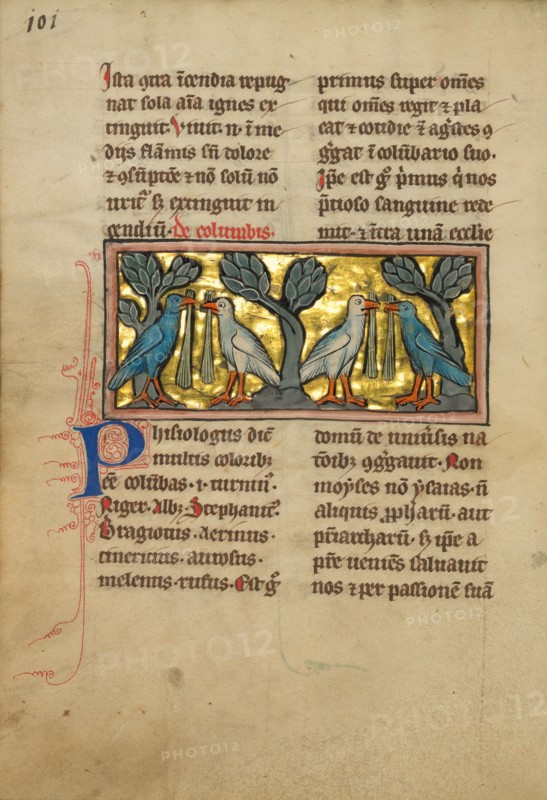 Two Pairs of Doves