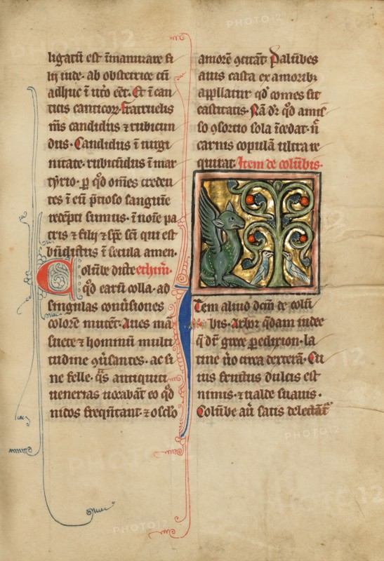 A Dragon and Two Doves in a Tree