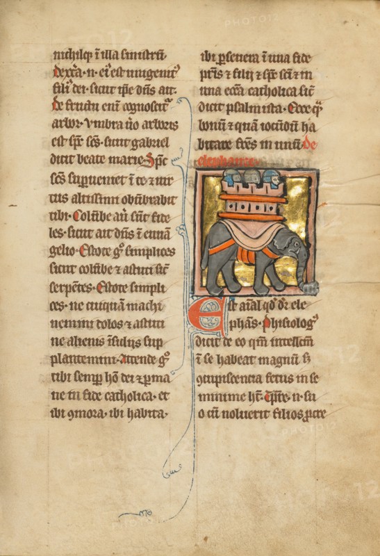 An Elephant Carrying Three Soldiers
