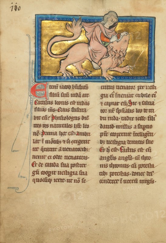 Samson Fighting a Lion