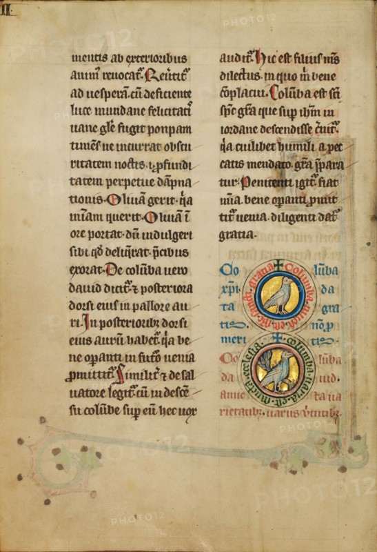 Two Medallions with Doves