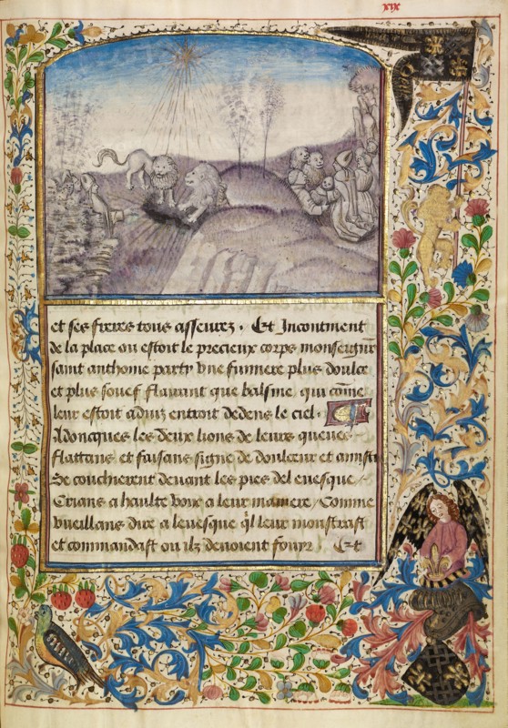 Bishop Theophilus Finding the Grave of Saint Anthony