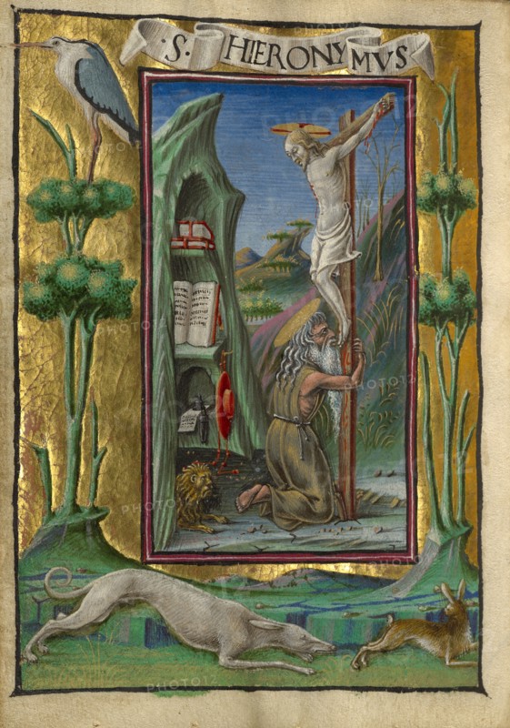Saint Jerome in the Desert