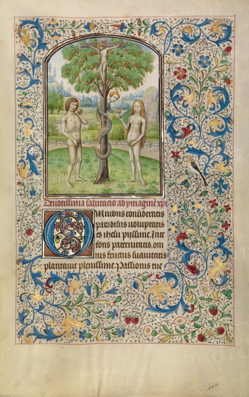 Adam and Eve Eating the Forbidden Fruit