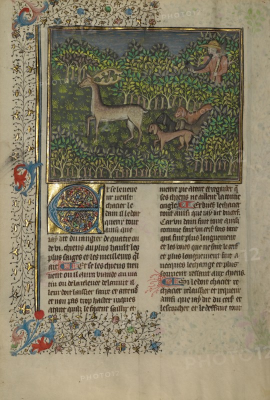 A Hunter and Dogs Pursuing a Fallow Deer