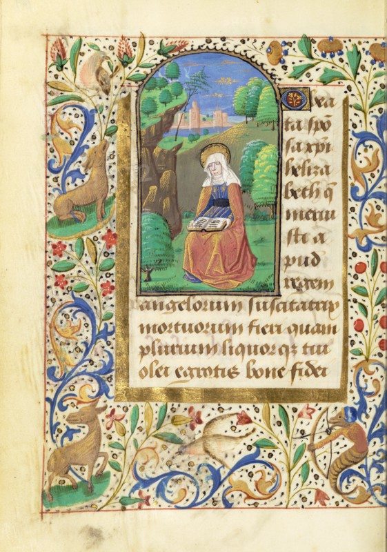 Saint Elizabeth