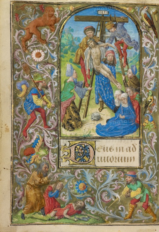 The Deposition