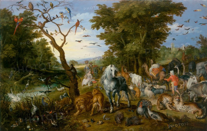 The Entry of the Animals into Noah's Ark