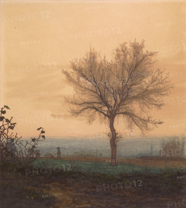 Landscape with a Bare Tree and a Plowman
