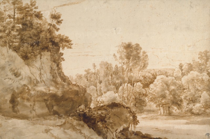 A Wooded Landscape