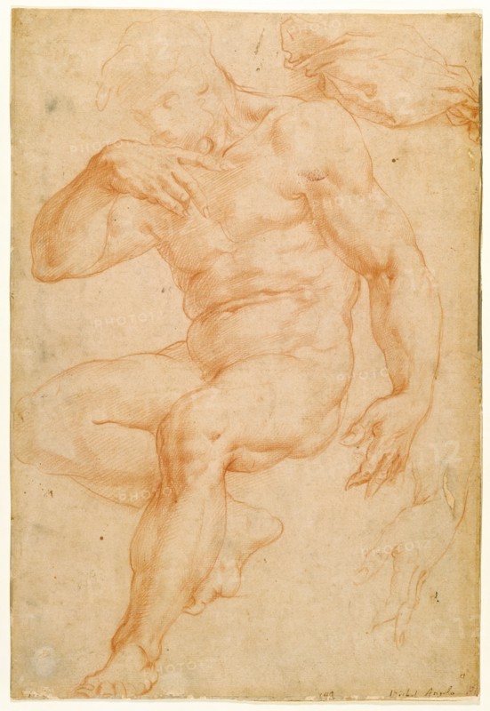 Studies of a Male Nude, a Drapery, and a Hand