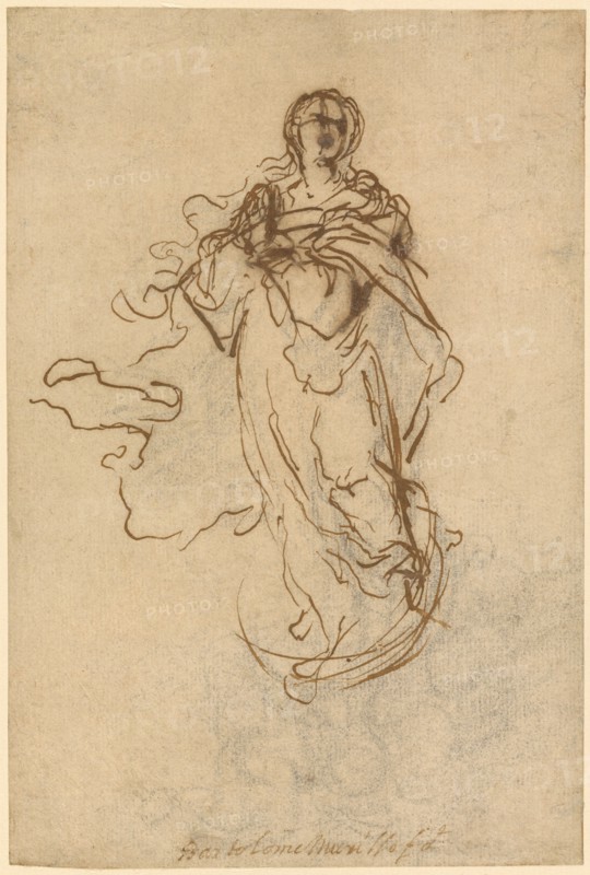 The Immaculate Conception