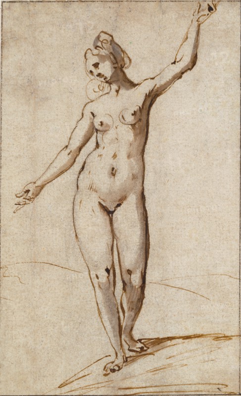Female Nude