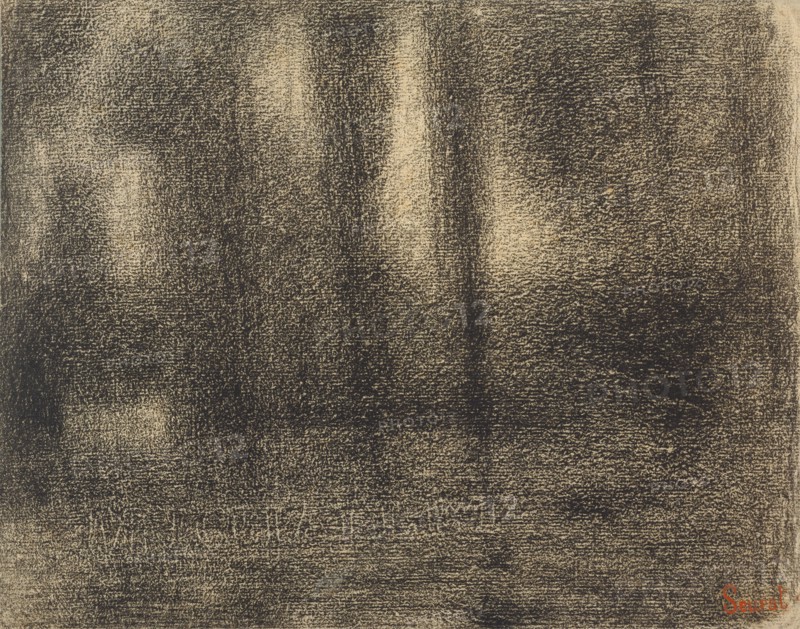 Poplars