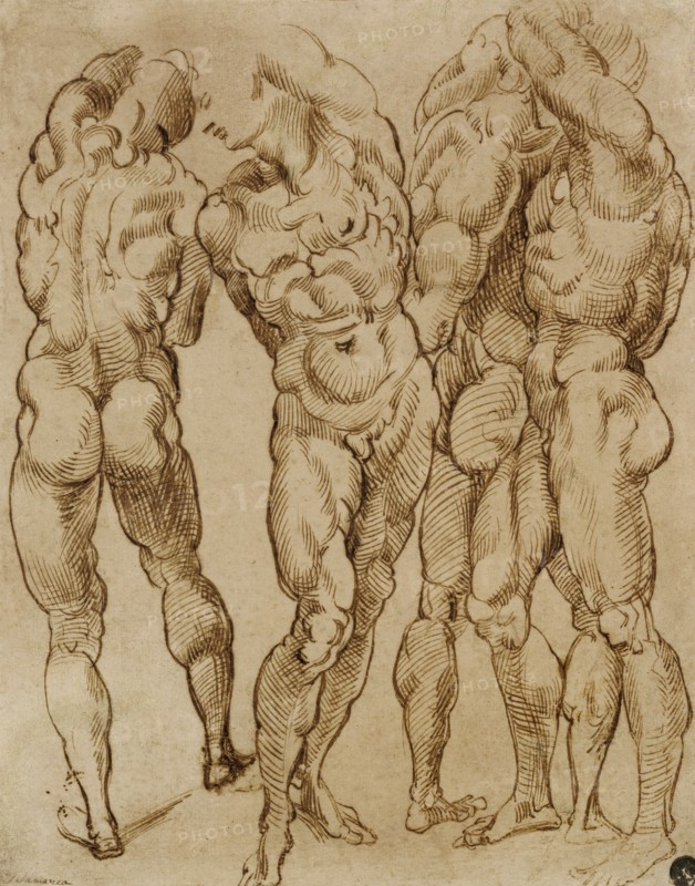Nude Studies
