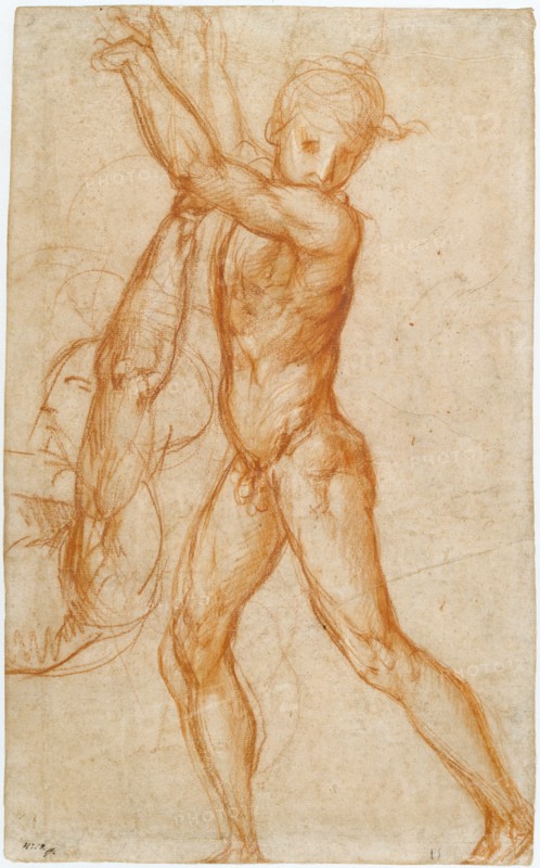 Study of a Nude Boy, Partial Figure Study (recto),  Study of a S