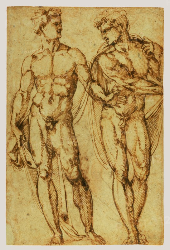 Study of Two Men (recto),  Study of the Head of a Bearded Man (v