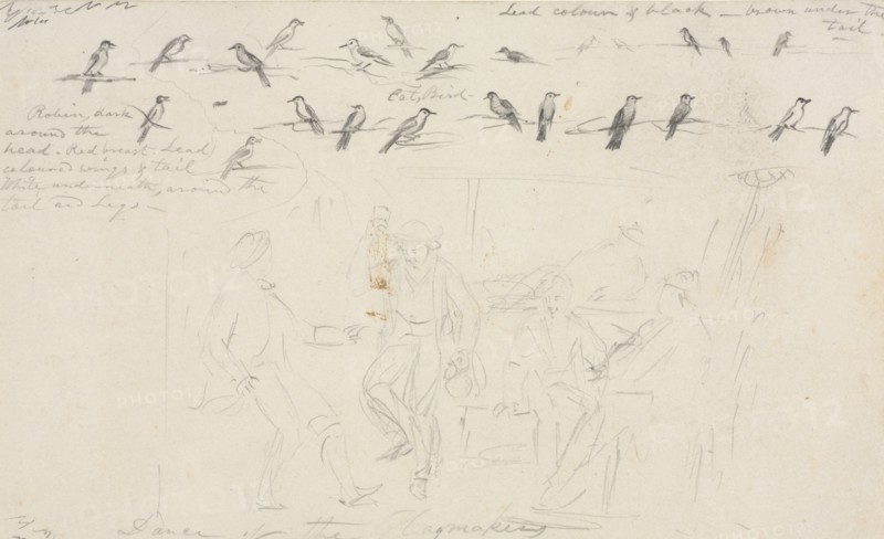 Dance of the Haymakers, c. 1845. William Sidney Mount (American, 1807-1868). Graphite;