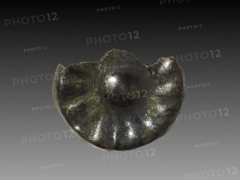 Rosette for Wig Decoration, 1980-1801 BC, Egypt, Middle Kingdom, Dynasty 12, Silver