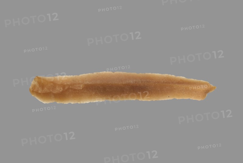 Sickle Blade, 1980-1801 BC. Egypt, Middle Kingdom, Dynasty 12. Flint; overall: 5 cm (1 15/16 in.).