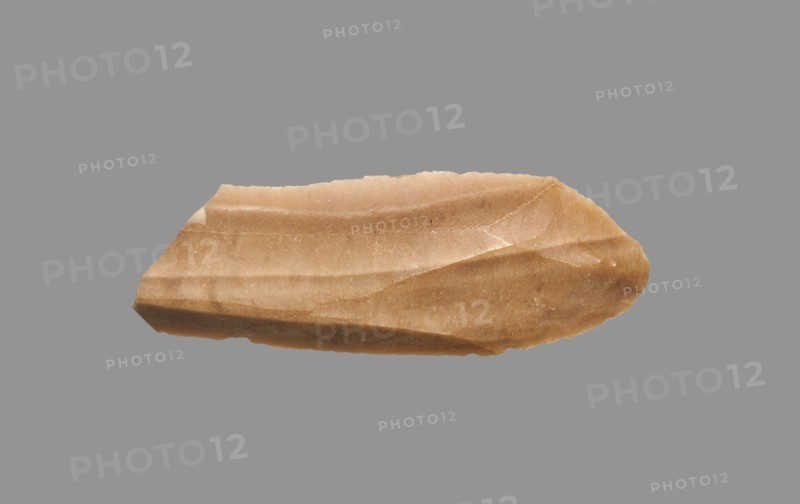 Sickle Blade, 1980-1801 BC. Egypt, Middle Kingdom, Dynasty 12. Flint; overall: 5 cm (1 15/16 in.).