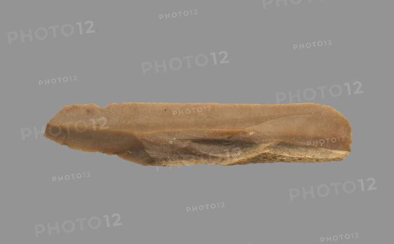 Sickle Blade, 1980-1801 BC. Egypt, Middle Kingdom, Dynasty 12. Flint; overall: 5 cm (1 15/16 in.).
