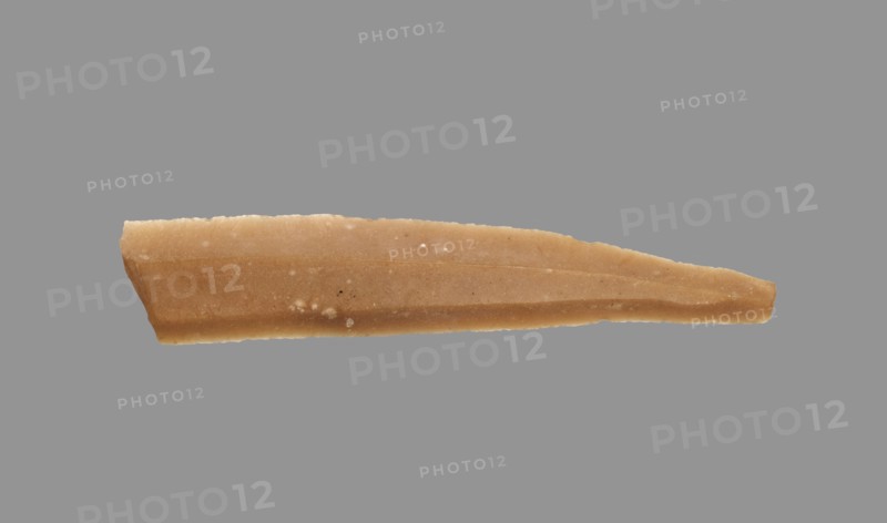 Sickle Blade, 1980-1801 BC. Egypt, Middle Kingdom, Dynasty 12. Flint; overall: 5 cm (1 15/16 in.).