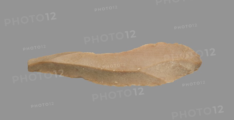 Sickle Blade, 1980-1801 BC. Egypt, Middle Kingdom, Dynasty 12. Flint; overall: 5 cm (1 15/16 in.).