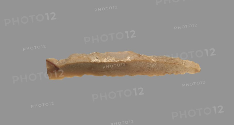Sickle Blade, 1980-1801 BC. Egypt, Middle Kingdom, Dynasty 12. Flint; overall: 5 cm (1 15/16 in.).