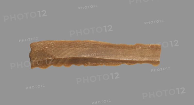 Sickle Blade, 1980-1801 BC. Egypt, Middle Kingdom, Dynasty 12. Flint; overall: 5 cm (1 15/16 in.).