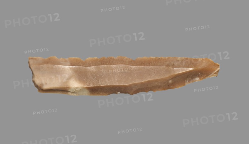 Sickle Blade, 1980-1801 BC. Egypt, Middle Kingdom, Dynasty 12. Flint; overall: 5 cm (1 15/16 in.).