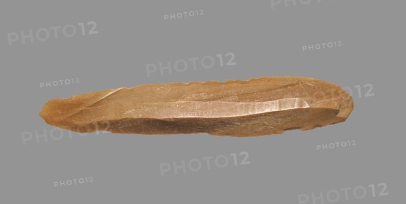 Sickle Blade, 1980-1801 BC. Egypt, Middle Kingdom, Dynasty 12. Flint; overall: 5 cm (1 15/16 in.).