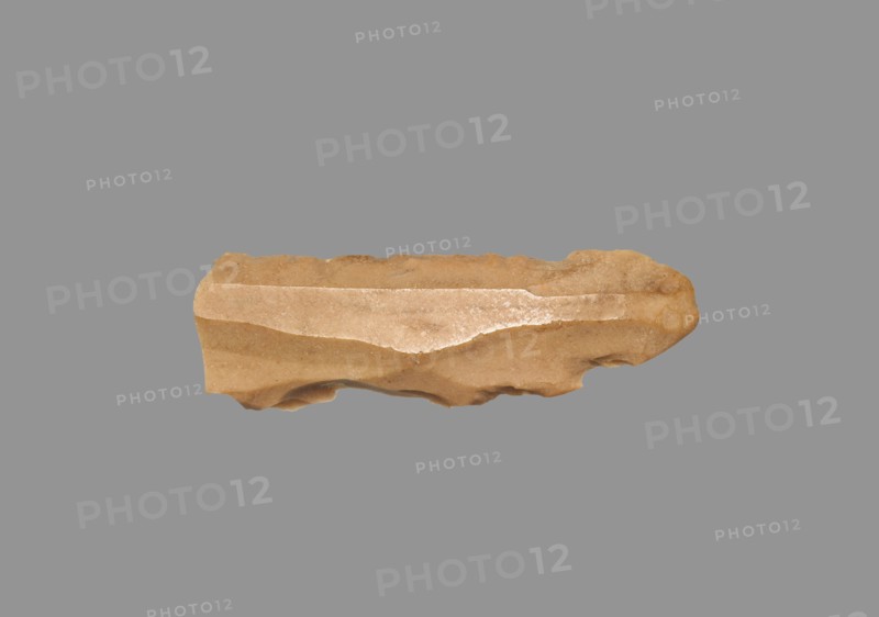 Sickle Blade, 1980-1801 BC. Egypt, Middle Kingdom, Dynasty 12. Flint; overall: 5 cm (1 15/16 in.).