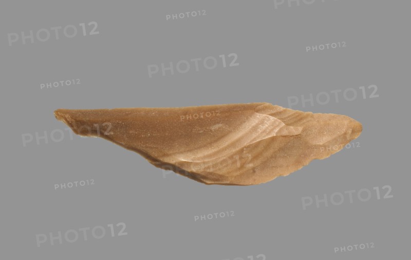 Sickle Blade, 1980-1801 BC. Egypt, Middle Kingdom, Dynasty 12. Flint; overall: 5 cm (1 15/16 in.).