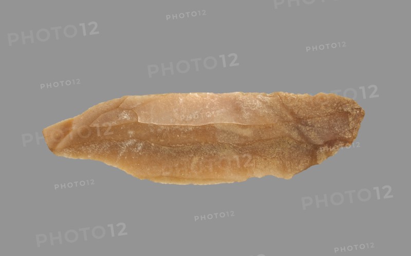 Sickle Blade, 1980-1801 BC. Egypt, Middle Kingdom, Dynasty 12. Flint; overall: 5 cm (1 15/16 in.).