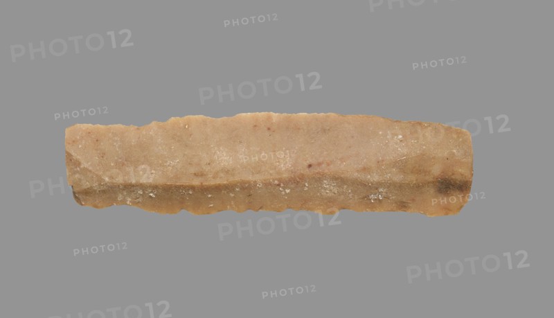 Sickle Blade, 1980-1801 BC. Egypt, Middle Kingdom, Dynasty 12. Flint; overall: 5 cm (1 15/16 in.).