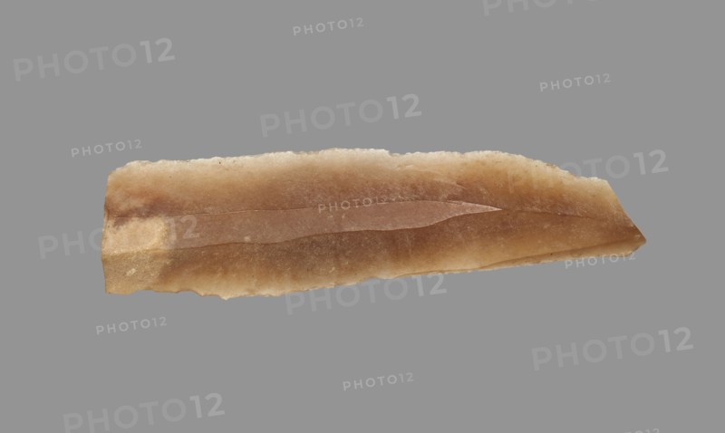 Sickle Blade, 1980-1801 BC. Egypt, Middle Kingdom, Dynasty 12. Flint; overall: 5 cm (1 15/16 in.).