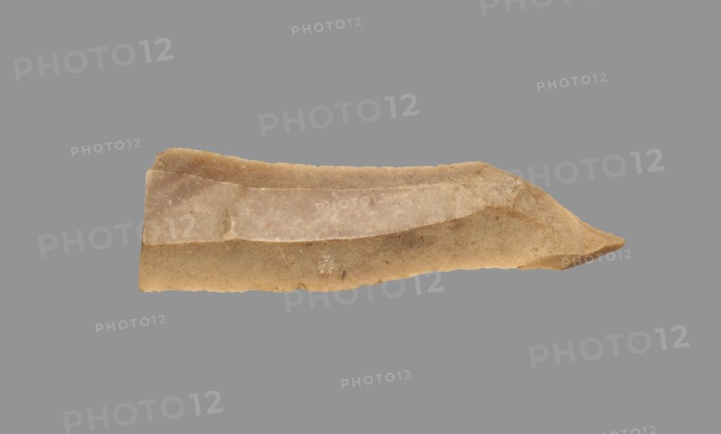 Sickle Blade, 1980-1801 BC. Egypt, Middle Kingdom, Dynasty 12. Flint; overall: 5 cm (1 15/16 in.).
