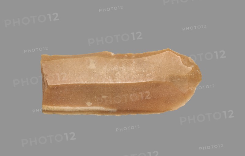 Sickle Blade, 1980-1801 BC. Egypt, Middle Kingdom, Dynasty 12. Flint; overall: 5 cm (1 15/16 in.).