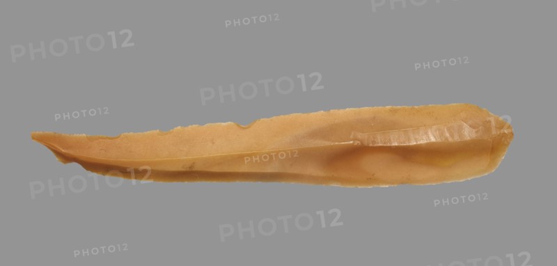 Sickle Blade, 1980-1801 BC. Egypt, Middle Kingdom, Dynasty 12. Flint; overall: 5 cm (1 15/16 in.).