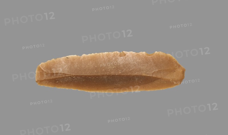 Sickle Blade, 1980-1801 BC. Egypt, Middle Kingdom, Dynasty 12. Flint; overall: 5 cm (1 15/16 in.).