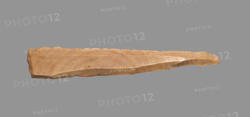 Sickle Blade, 1980-1801 BC. Egypt, Middle Kingdom, Dynasty 12. Flint; overall: 5 cm (1 15/16 in.).